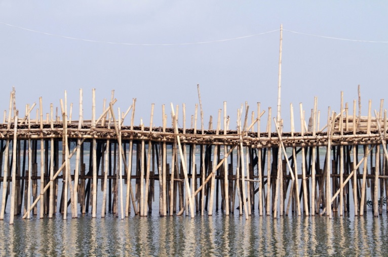 竹の橋２　カンボジア